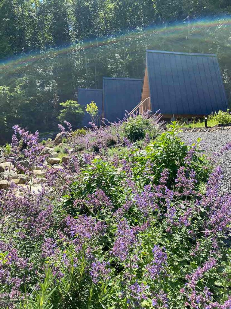 cabins at nectar yoga